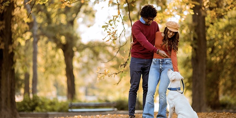 dog walking as a side hustle option dog walking as a side hustle option